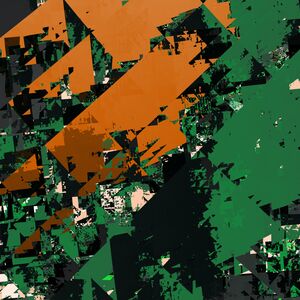 conifer