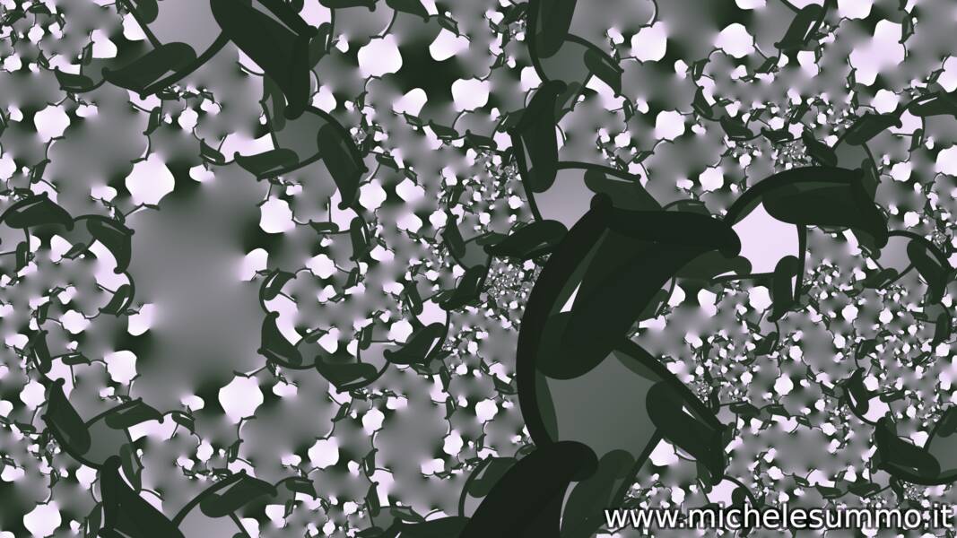 magnolia - Various Ambient Gallery 2