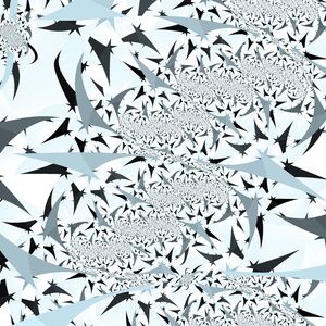 swallows